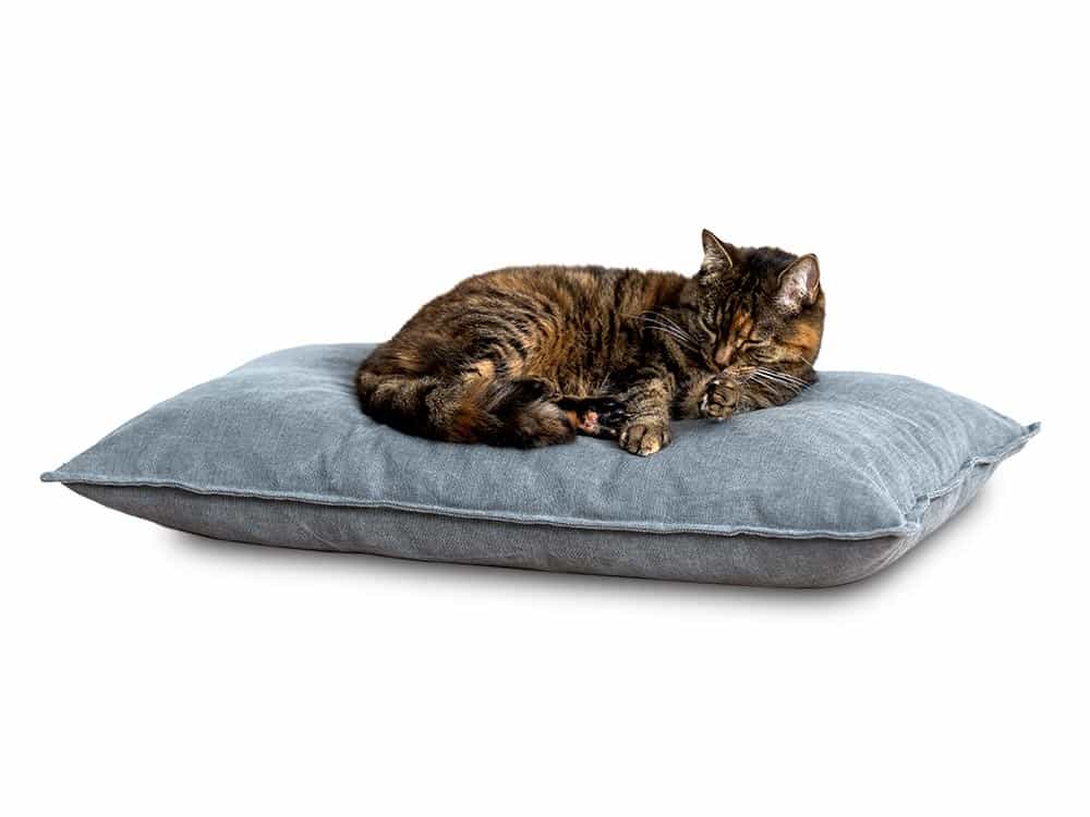 Cuscino ergonomico per gatti con imbottitura in lattice elastico di pet-interiors.
