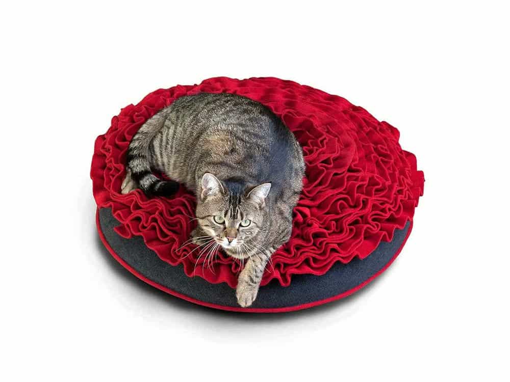 Il gattino sgombro si coccola nel cuscino di rose di pet-interiors.