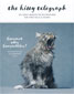 The Kitty Telegraph