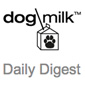 Blog dog milk
