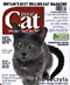 Your Cat