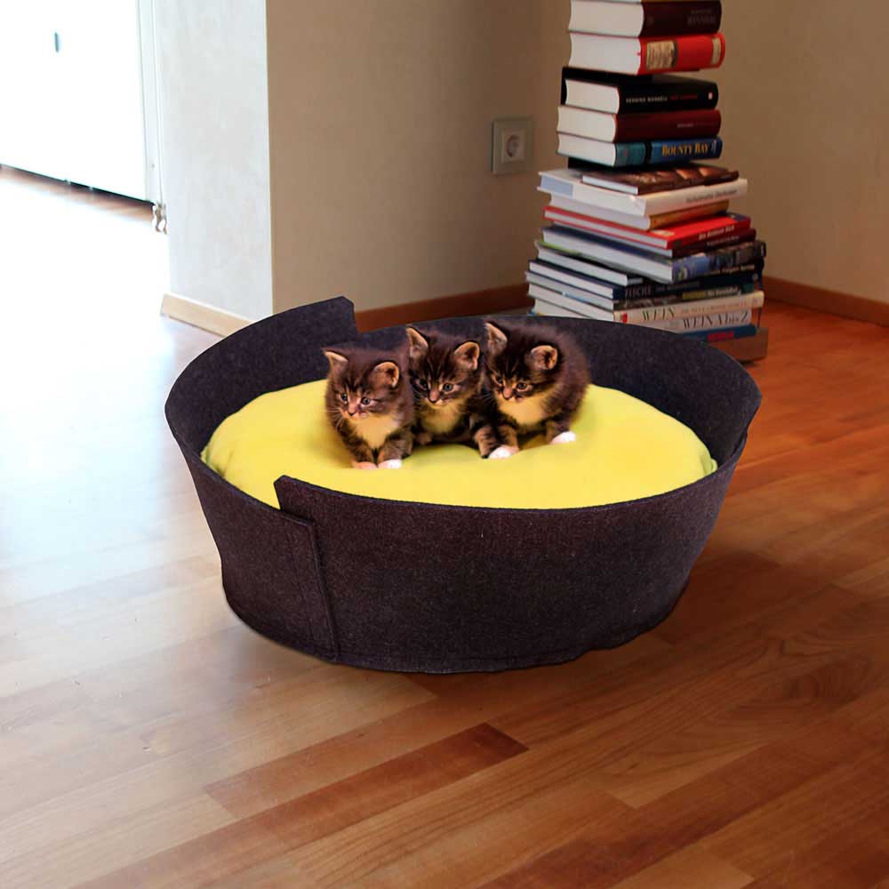 Modern cat bed LIDO