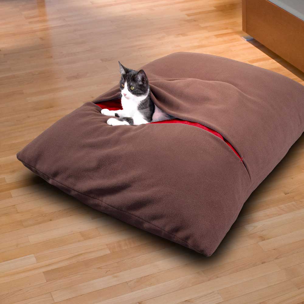 Cat cushion Divan DUE