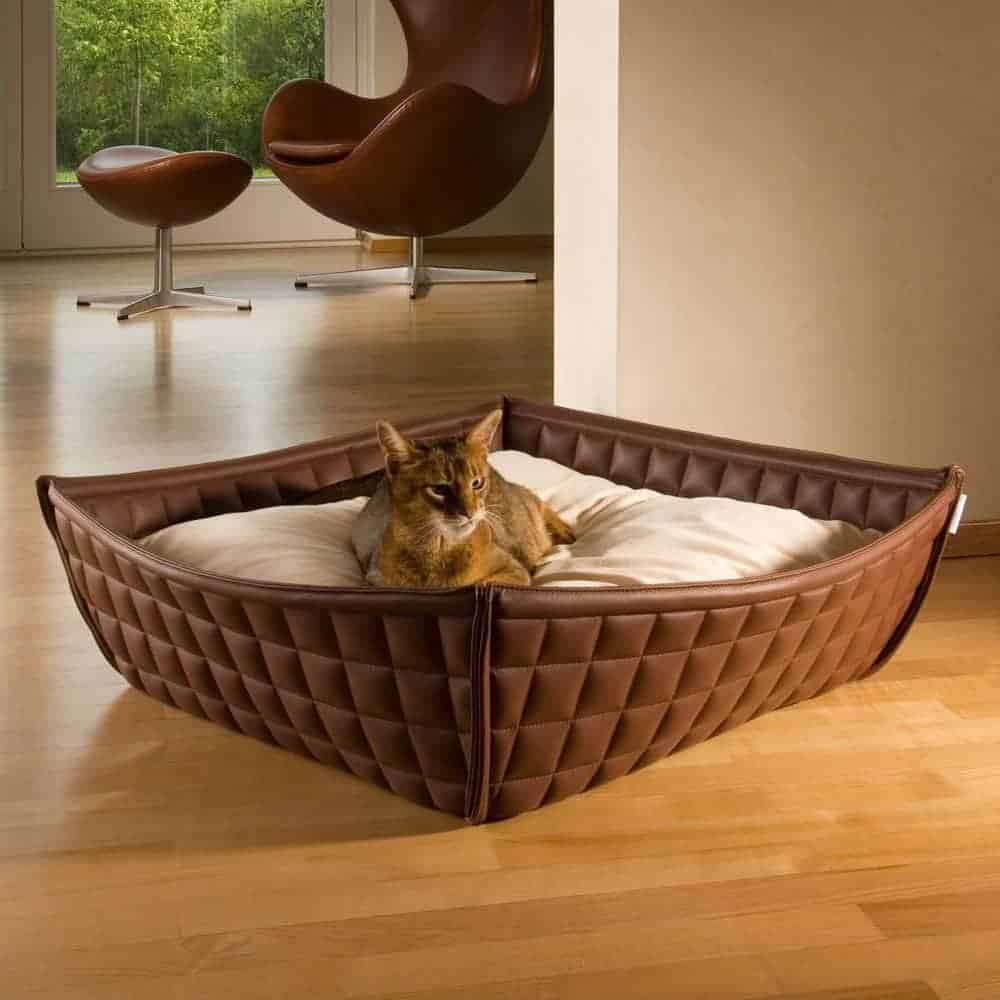 BOWL design cat basket