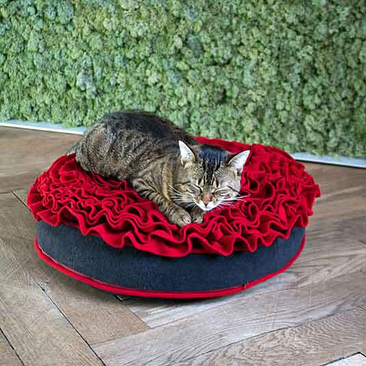 Cuscino rotondo gatto Lounge ROSE
