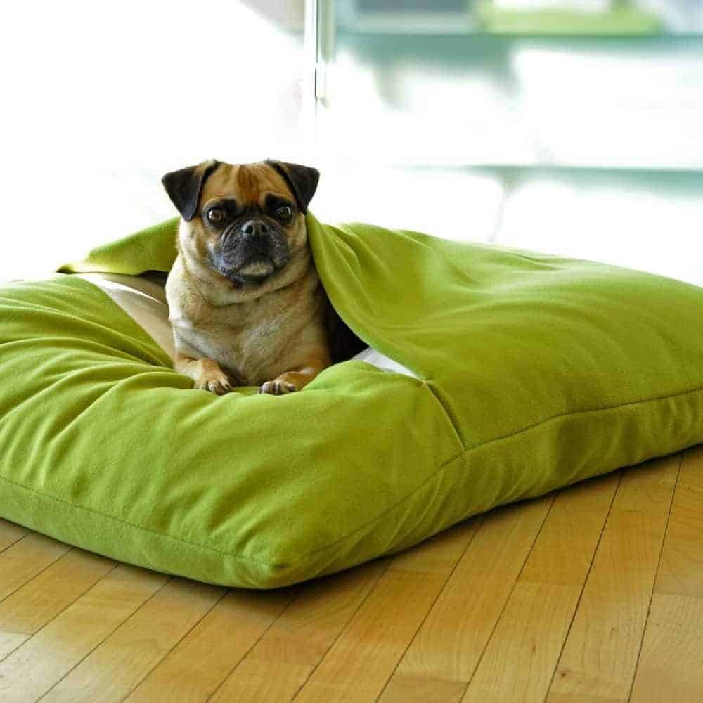 Sleeping bag for dogs Divan DUE