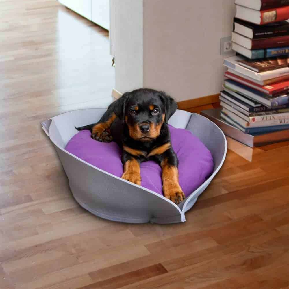 NOOK Felt stylish dog beds
