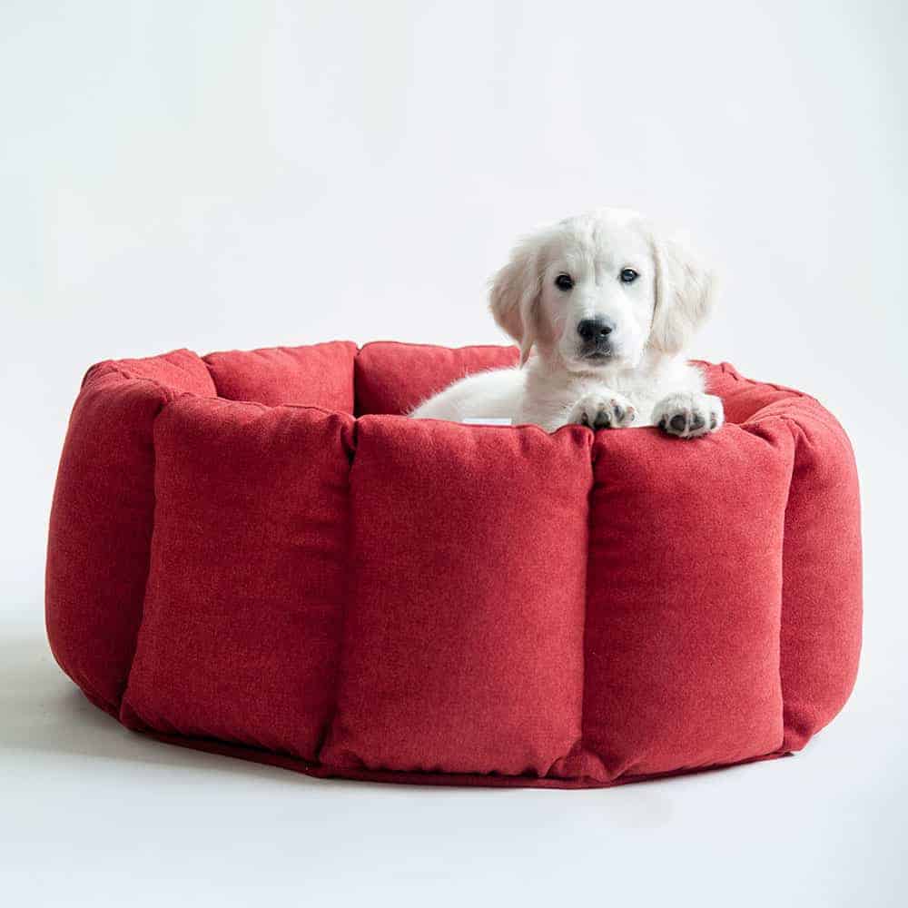 Cuccia rotonda per cani BLOOM