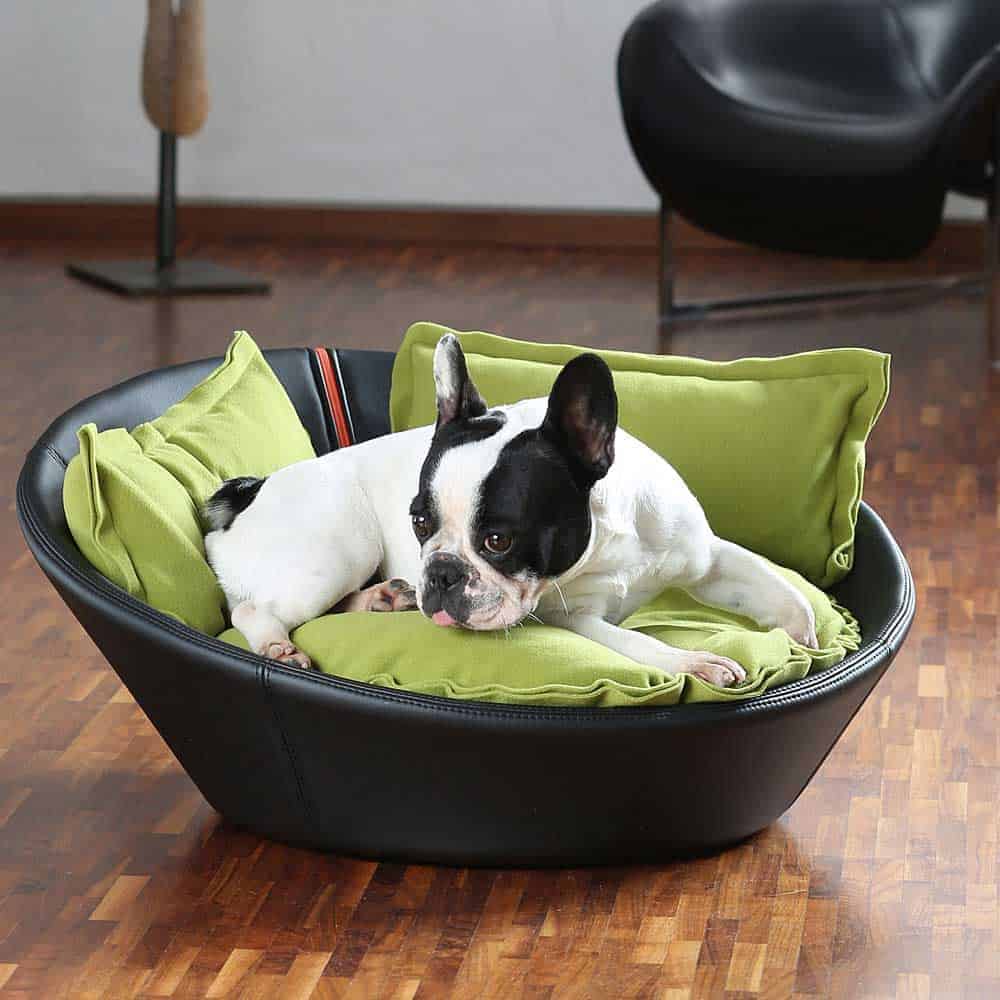 Unique dog bed MILA