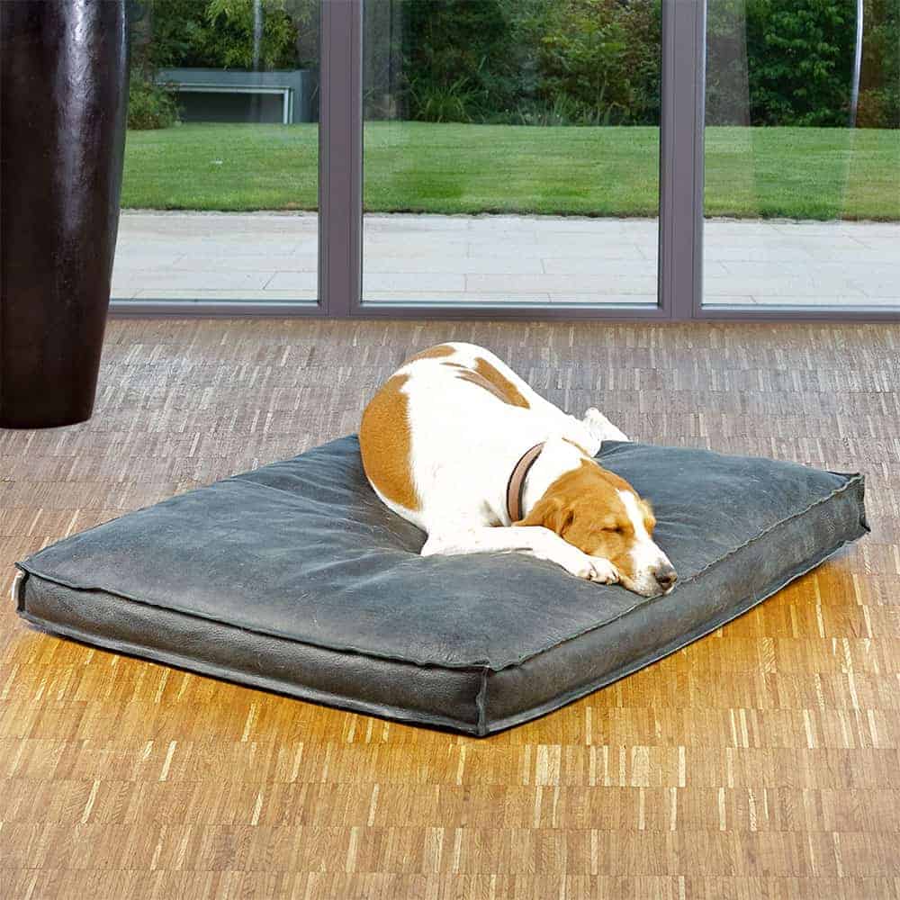 Leather dog cushion Lounge BUFFALO.