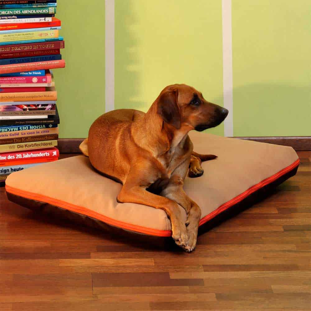 LOUNGE Pauline orthopaedic dog bed