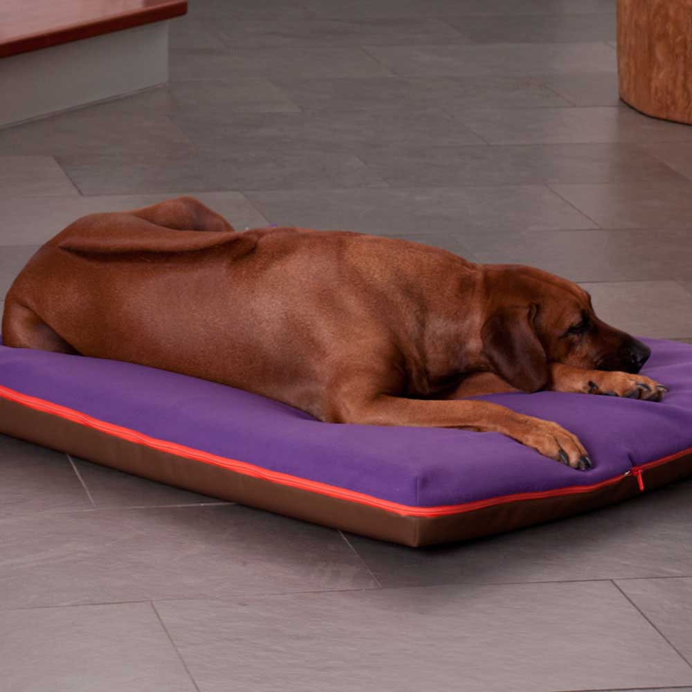 Tappetino cane ortopedico PAUL, incl. coperta per cani.