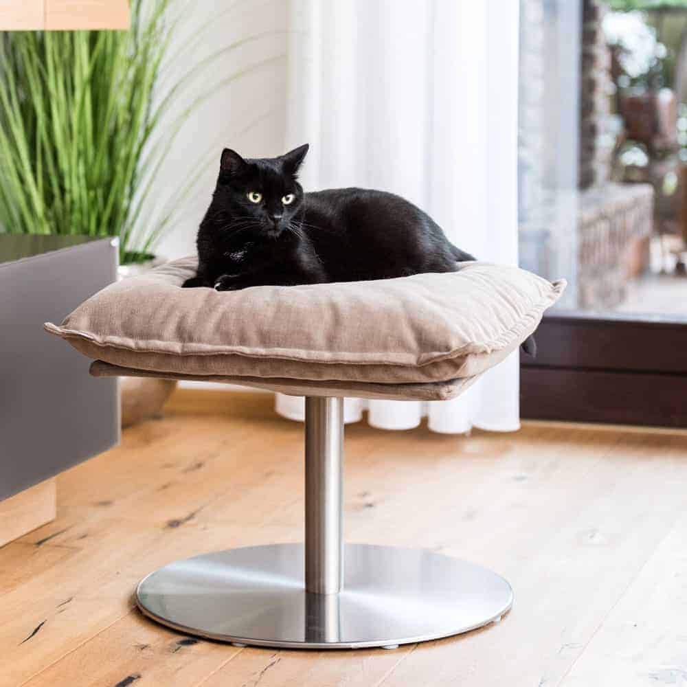 Design cat bed POET for the perfect view