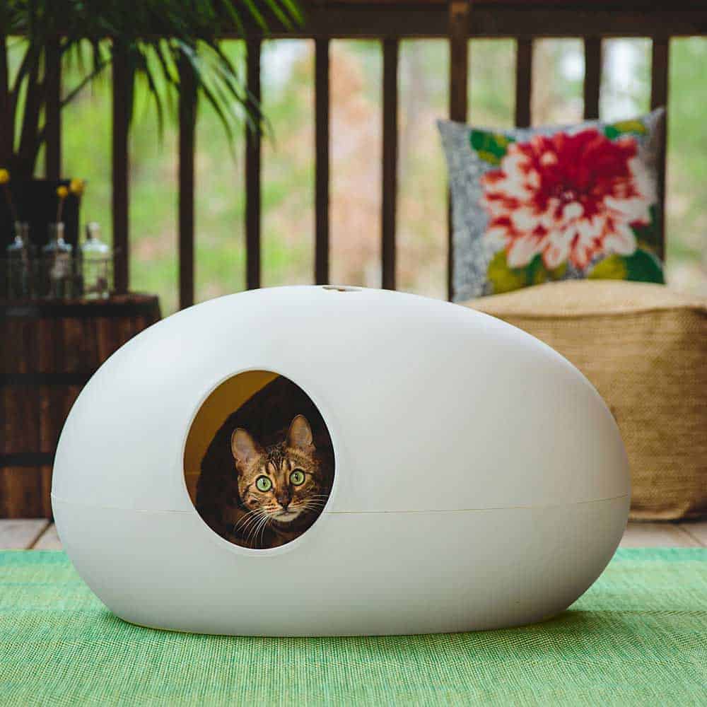 Casa per gatti Uovo
