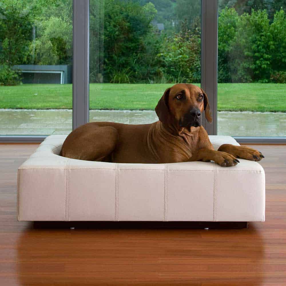 CUBE Leather dog furniture