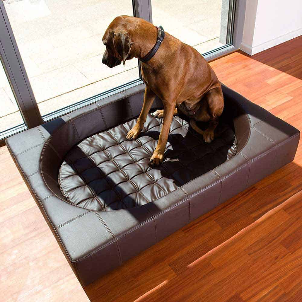CUBE Faux leather Modern dog furniture
