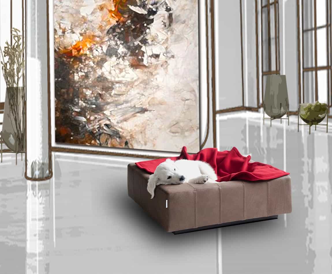 Exklusive Dog Bed Cube Leather with Golden Retriever puppy by pet-interiors