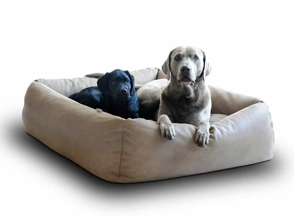 Dog box bed with soft edge made of buffalo leather from pet-interiors.