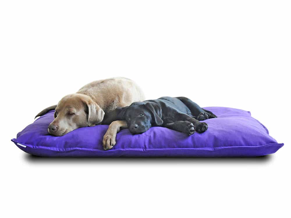Orthopaedic dog cushion Divan with latex filling by pet-interiors.