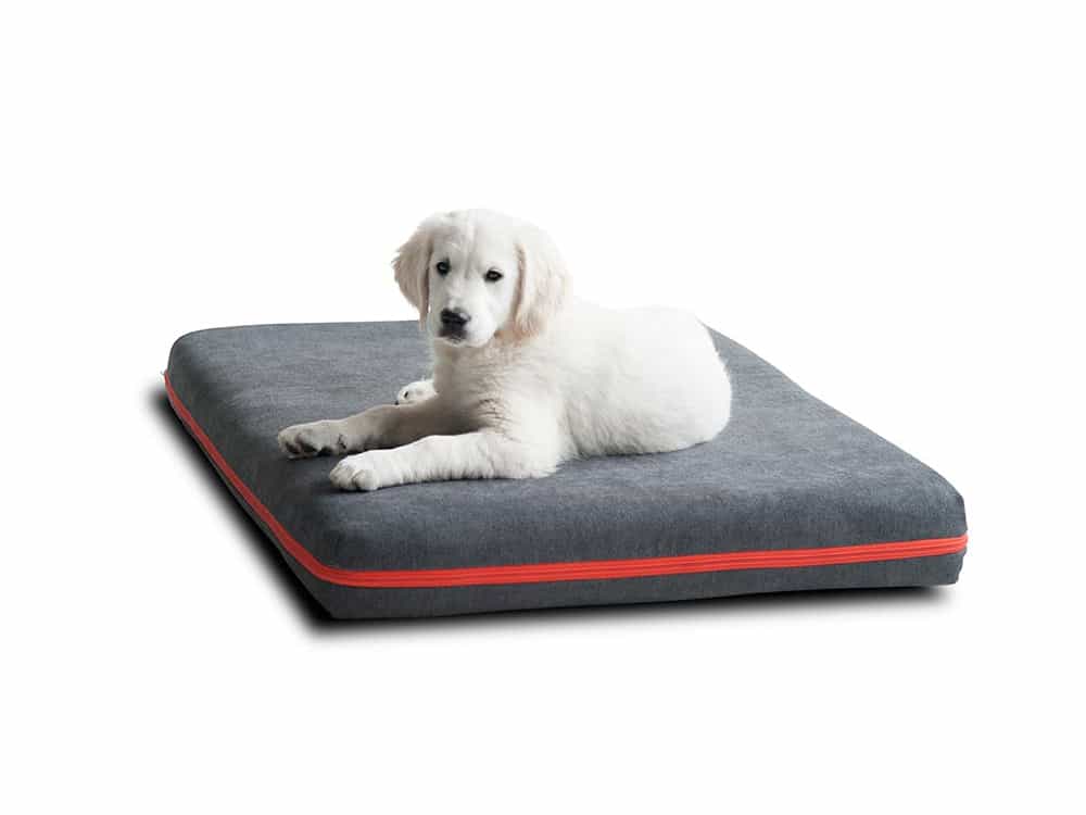 Viscoelastic memory foam dog mattress Mary by pet-interiors.
