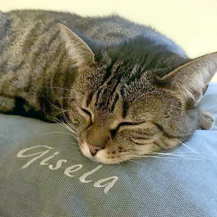 Cat cushions embroidered with names by pet-interiors.