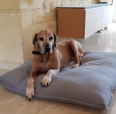 Orthopädisches Hundekissen Divan UNO