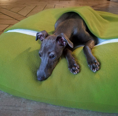 Hundeschlafsack Divan DUE