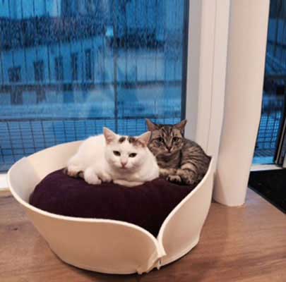 Katzenkörbchen Filz NOOK