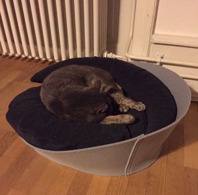 Katzenmöbel ARENA Filz