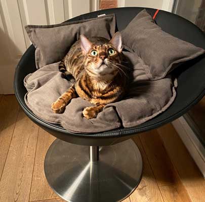 Katzenbett deluxe COSMO