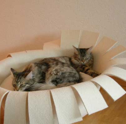 Ina und Igor fromGutenswil/Switzerland