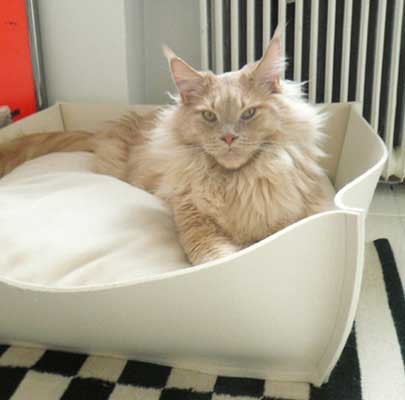 Katzenkörbe BOWL Filz