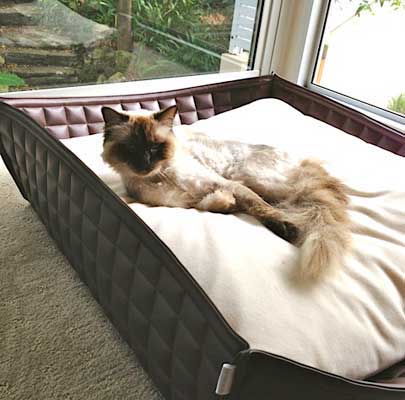 BOWL Katzenkorb in Echt-Leder