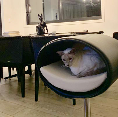 Design Katzenbett RONDO Stand Leder