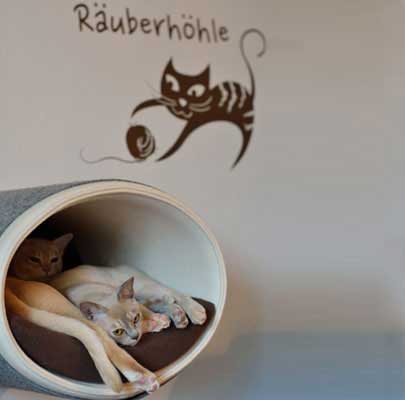 Katzen Kletterwand RONDO Wall Filz