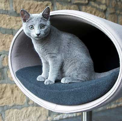 Kratzbaum RONDO Stand Filz