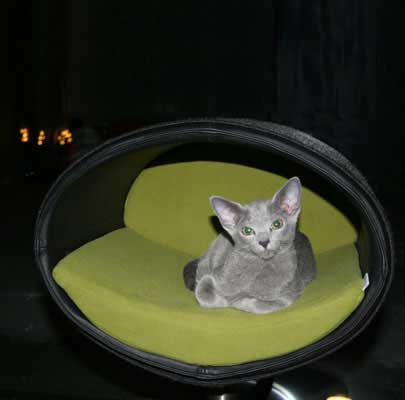 Design Katzenbett RONDO Stand Leder