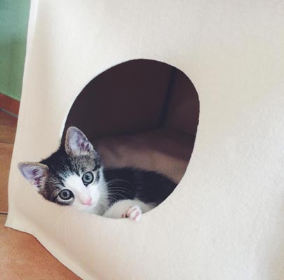 Katzenhöhle Filz MOOD