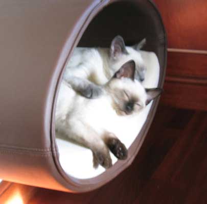 Katzen Kletterbaum RONDO WALL Leder