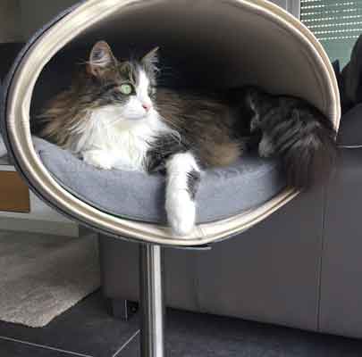 Design Katzenbett RONDO Stand Leder