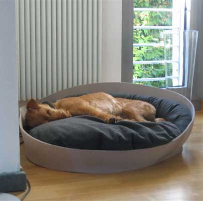 Kleiner Hundekorb ARENA Filz