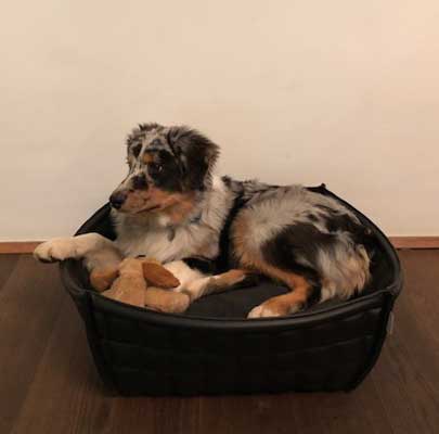BOWL Leder Hundekorb orthopädisch