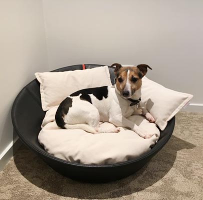 Mila orthopädisches Hundebett rund