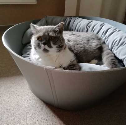 Schlafplatz für die Katze CREDO