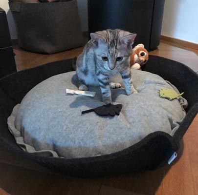 Katzenkörbchen Filz NOOK