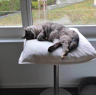 Katzenbett waschbar POET