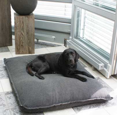 Orthopädisches Hundekissen Divan UNO
