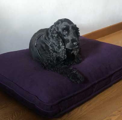 Lounge UNI Hundekissen rund - quadratisch - rechteckig