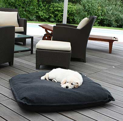 Orthopädisches Hundekissen Divan UNO