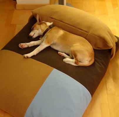 Design Hundekissen Divan QUATTRO